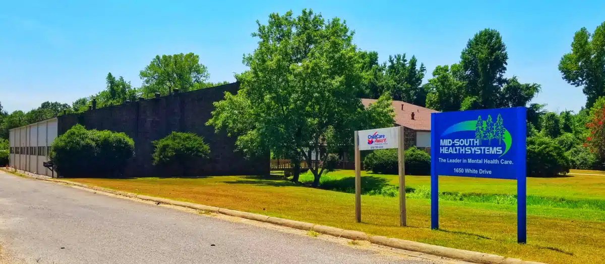 Northeast AR Community Mental Health - Preview